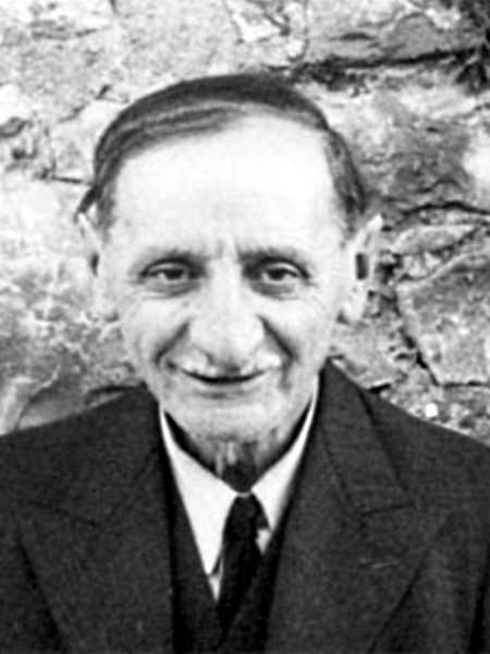 Luigi Bertoni